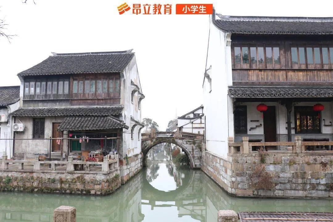 细胞分裂4